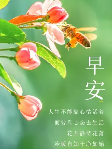 充满阳光的早安心语（充满正能量的早安句子）