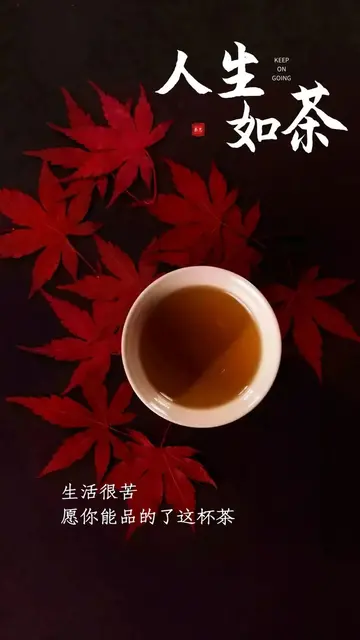 精辟走心的哲理短句（有深度的人生哲理句子）