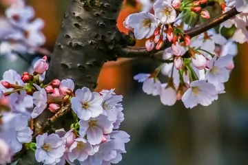 人生感悟的唯美句子（感悟人生的经典语录）