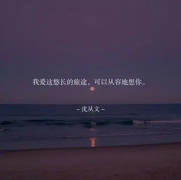 表达心情的唯美句子（动人心弦的心情语录）