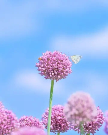 暖心且治愈的文案（温暖人心的句子）