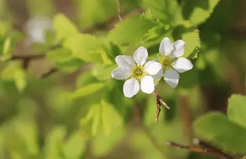 感悟人生的经典句子（精辟人生的经典短句）