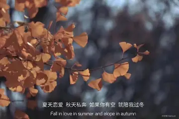 唯美且治愈的文案（触动人心的治愈短句）