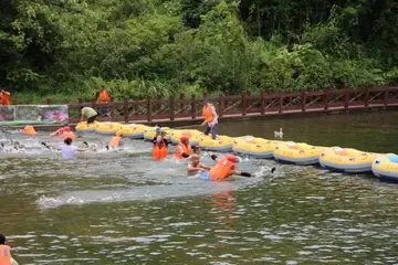 有关家乡河水的作文精选范例（《我故乡的那条河》）