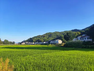 有关漂亮家乡的作文精选范例（《朴素又美丽的故乡》）