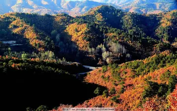 《故乡景色，山清水秀》（关于家乡景观的作文精选）