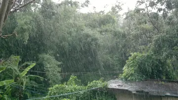 《思乡之季，惆怅的雨》（关于故乡的雨的作文精选）