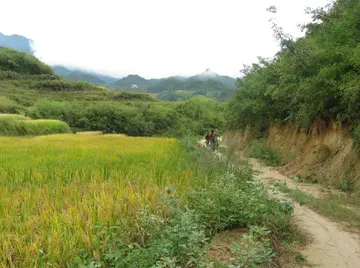 有关游子思乡的作文精选范例（《我的故乡在远方》）