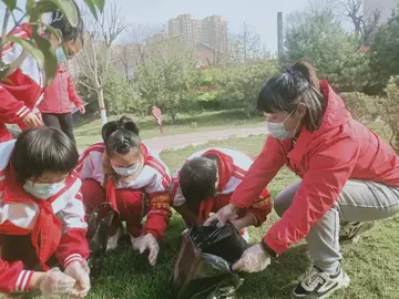 有关保护环境的作文精选范例（《大自然的惩罚》）