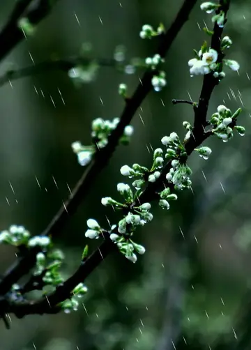 描写雨天的惊艳句子（关于雨天的经典文案）