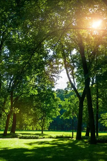 充满夏日气息的温柔句子（适合夏天的唯美句子）