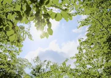 充满夏日气息的温柔句子（适合夏天的唯美句子）