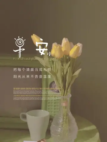 唯美走心的早安句子（满满正能量的早安心语）