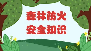 2022森林防火心得体会范例（森林防火心得感悟范文）