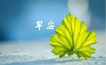 精致走心早安句子（充满正能量的早安心语）