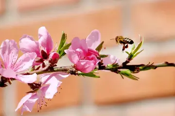 关于爱情的简单句子（唯美走心的爱情短句）