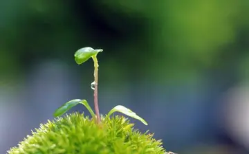 那一刻我长大了作文600字范文（值得感恩的事）