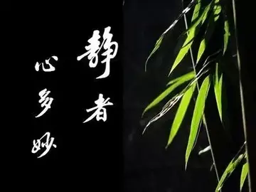 让人静心的感悟句子（有关静心的经典语录）