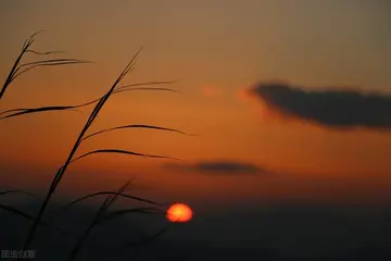 瞬间清醒的治愈短句（让人清醒的句子）