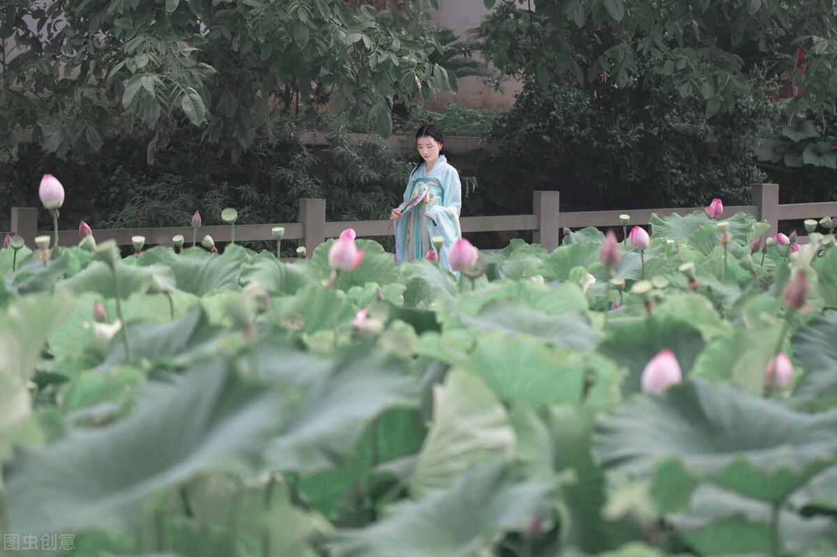 形容莲藕诗词古句鉴赏（十五首莲藕诗词）