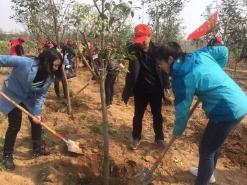 2022公益植树活动方案模板（公益植树策划方案范本）