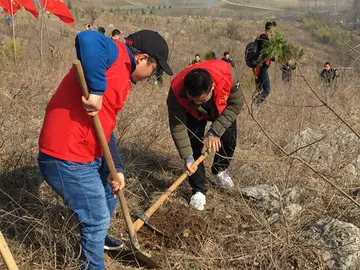 2022公益植树实施方案模板（公益植树工作方案范本）