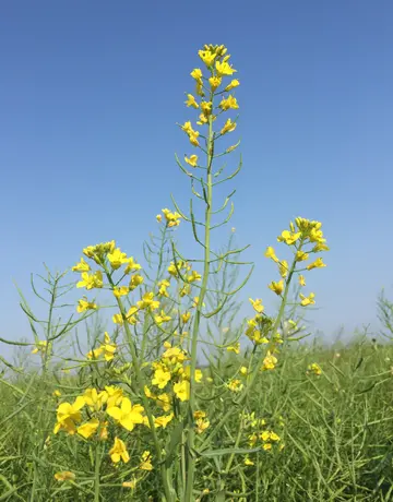 关于心情的文案句子（唯美走心的心情短句）