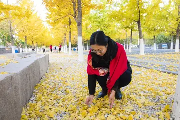 亲切的怀恋作文600字初一（激励我努力前行）