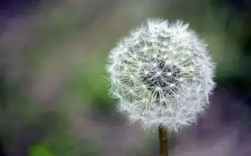 超级治愈的暖心短句（让人惊艳的暖心句子）