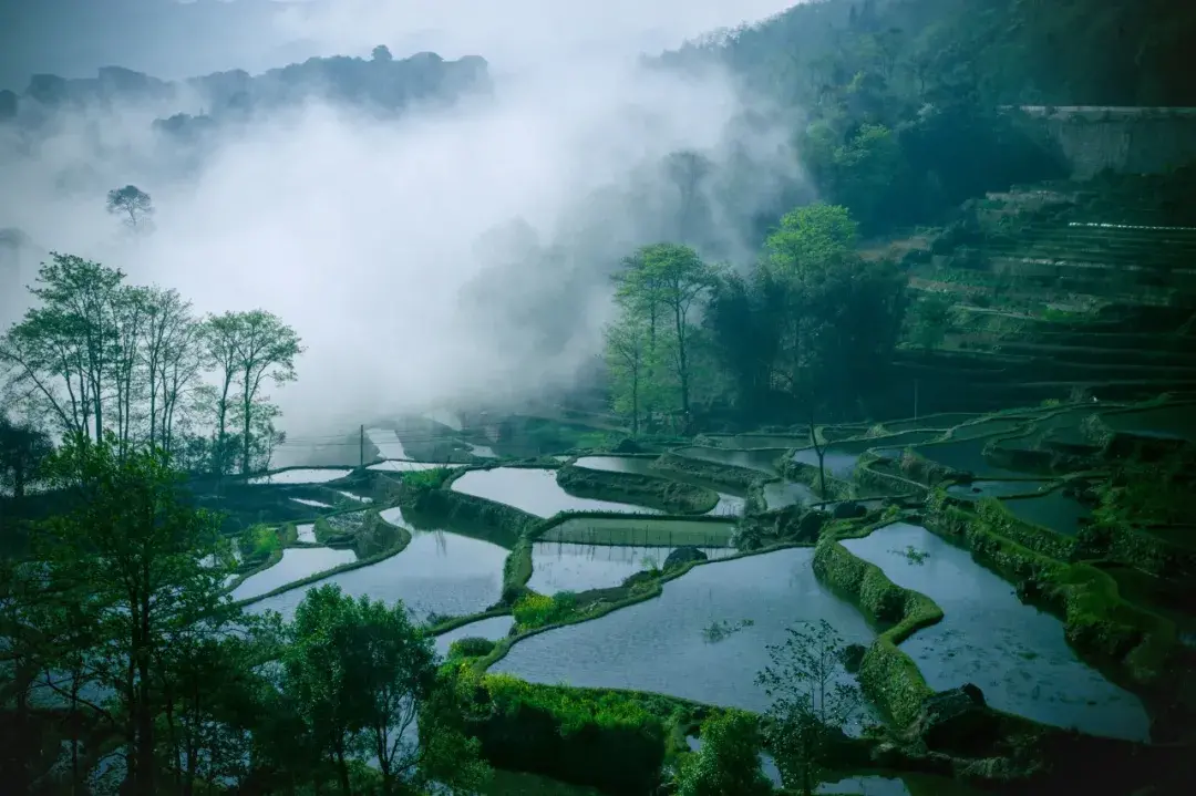 赞美乡村美景的诗句（10首必读山水田园诗）