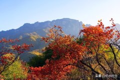 赞美秋天美景的诗句鉴赏（晚秋青山红树美诗五首）