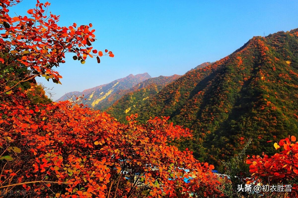 赞美秋天美景的诗句鉴赏（晚秋青山红树美诗五首）