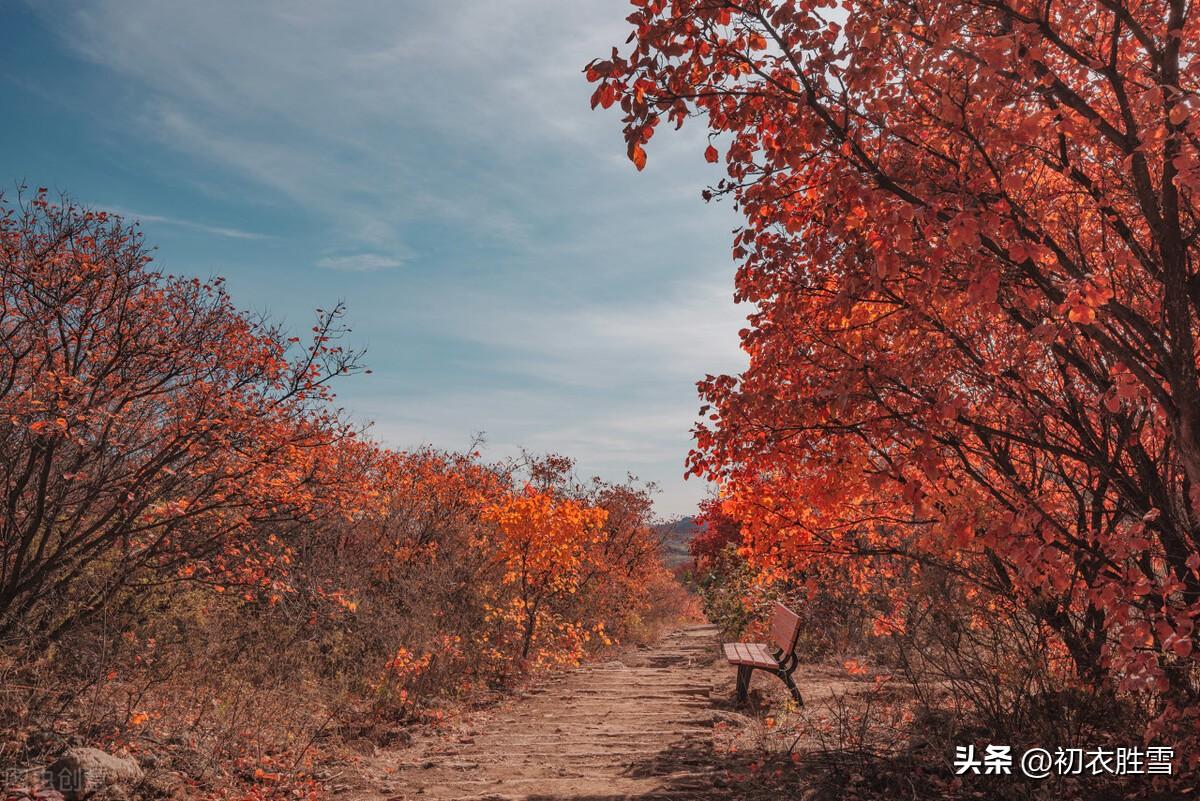 赞美秋天美景的诗句鉴赏（晚秋青山红树美诗五首）