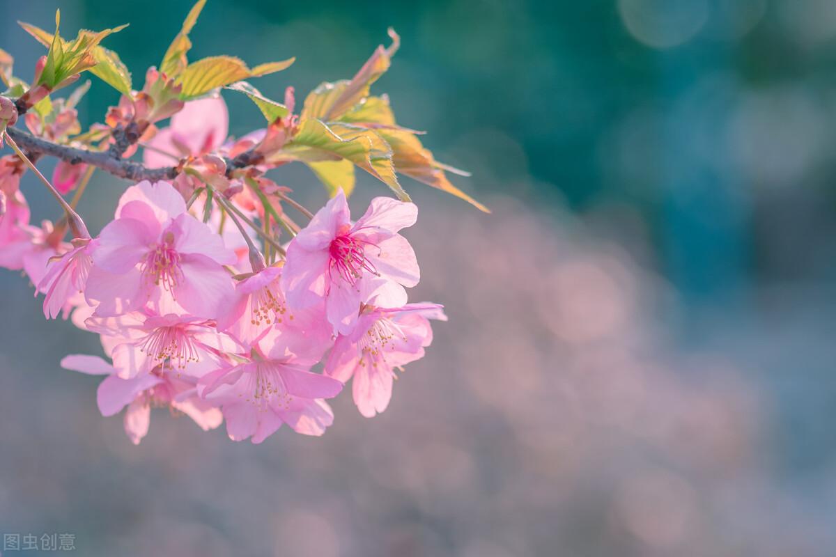 简洁干净的阳光短句（温暖治愈阳光句子）