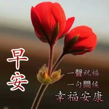 温暖又励志的早安短句（关于早安的正能量句子）