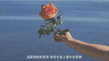 超级温柔的情话短句（特别暖心的情话）