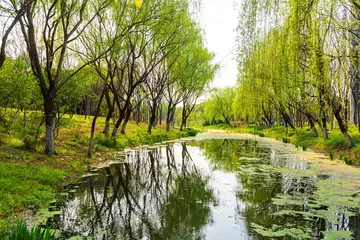 有关温暖如春的作文精选范例（《春天里那温暖的情》）