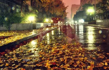 有关温暖雨夜的作文精选范例（《那场雨温暖了我的心》）