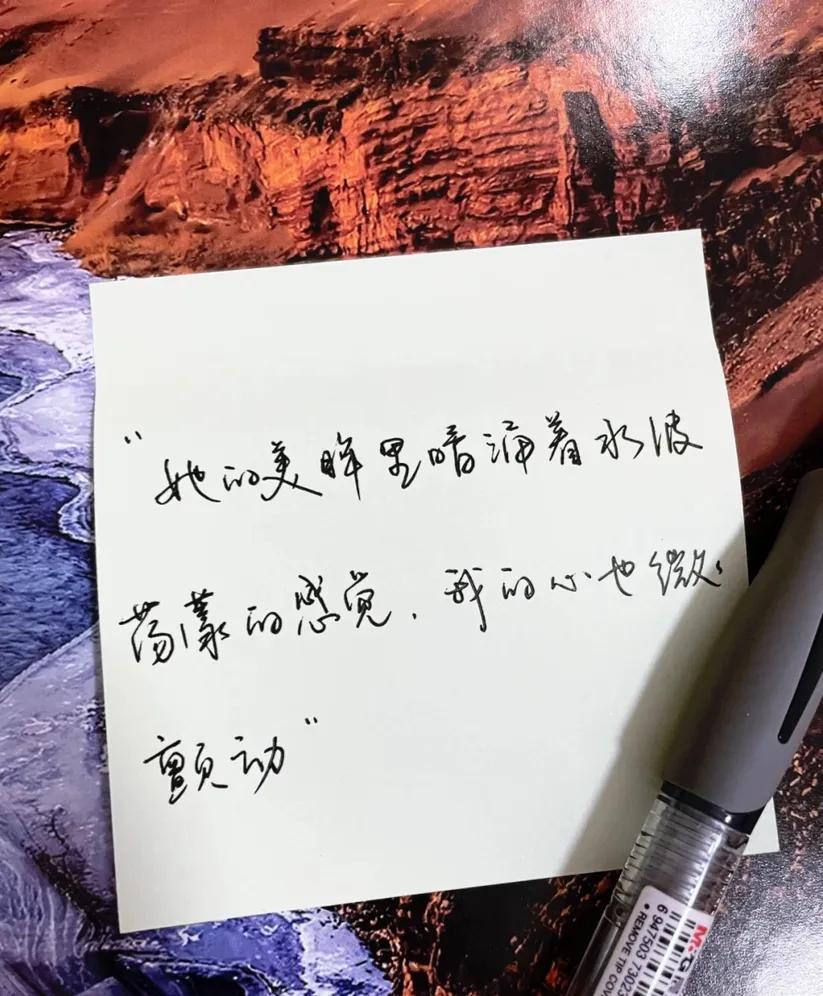 关于友谊和爱意满满的句子（致友谊长久的唯美句子）