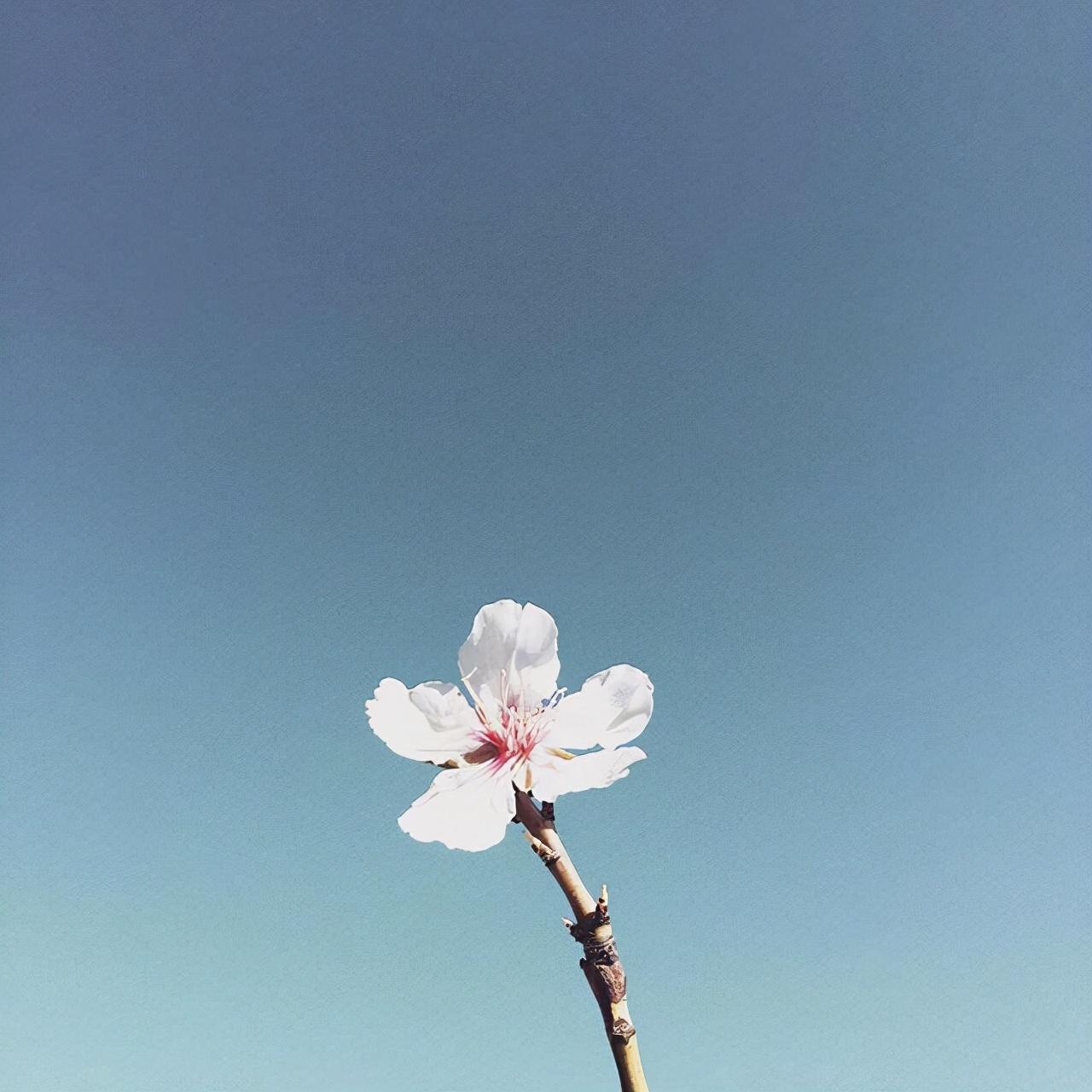 关于很流行的哲理说说（人生经典格言句子）