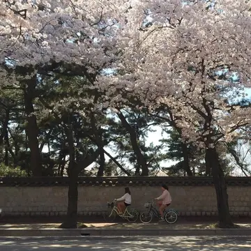 让人心动的浪漫情话（超级简短的高级情话）