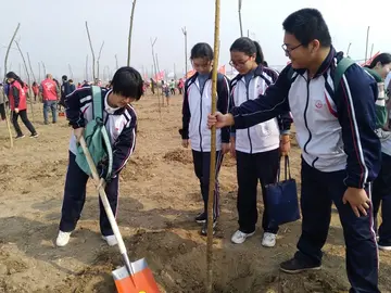 《那年青春，我们正好》（关于青春真好的作文精选）