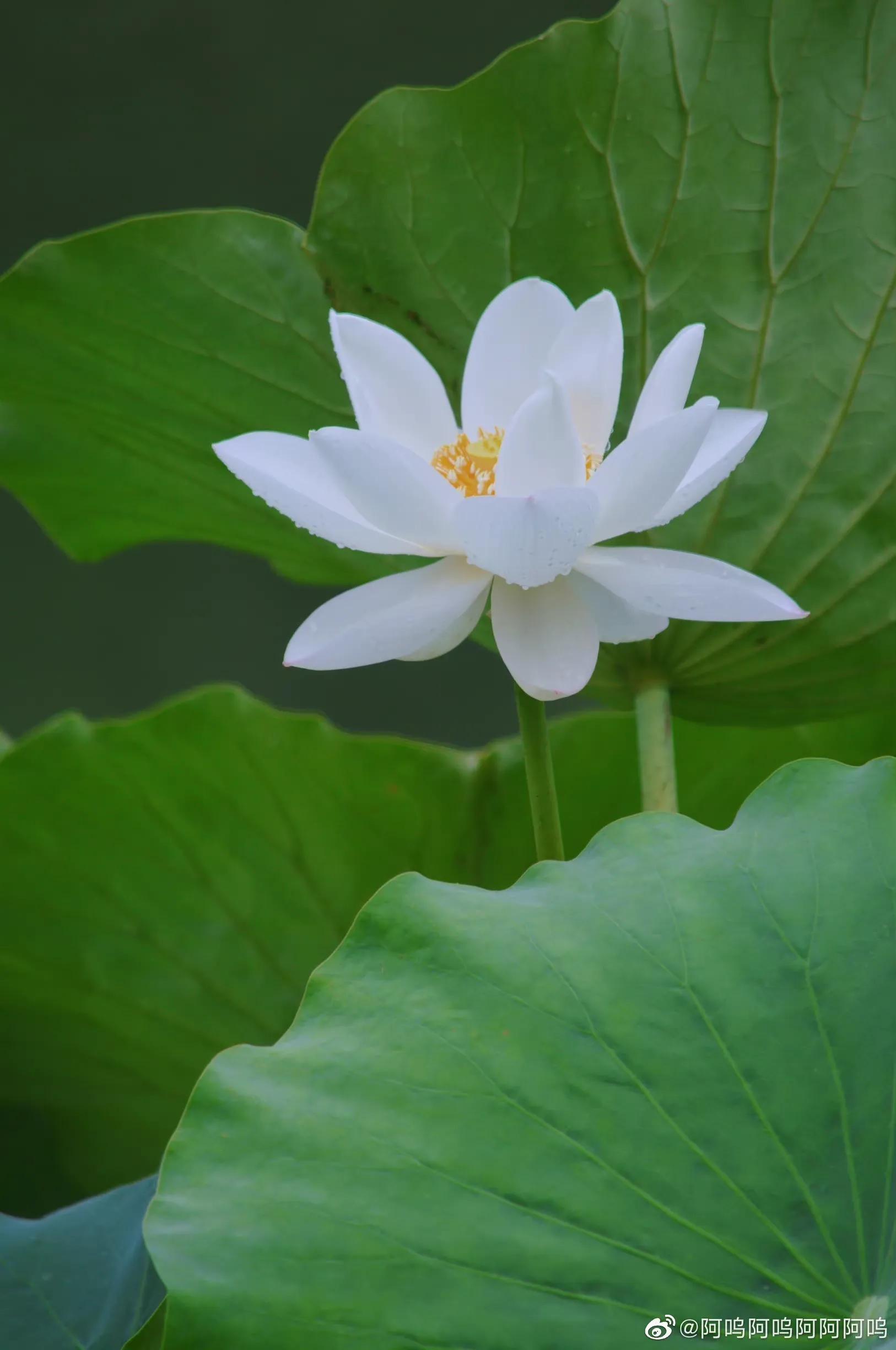 感恩相识珍惜相遇语句（感恩相遇珍惜缘分的说说）