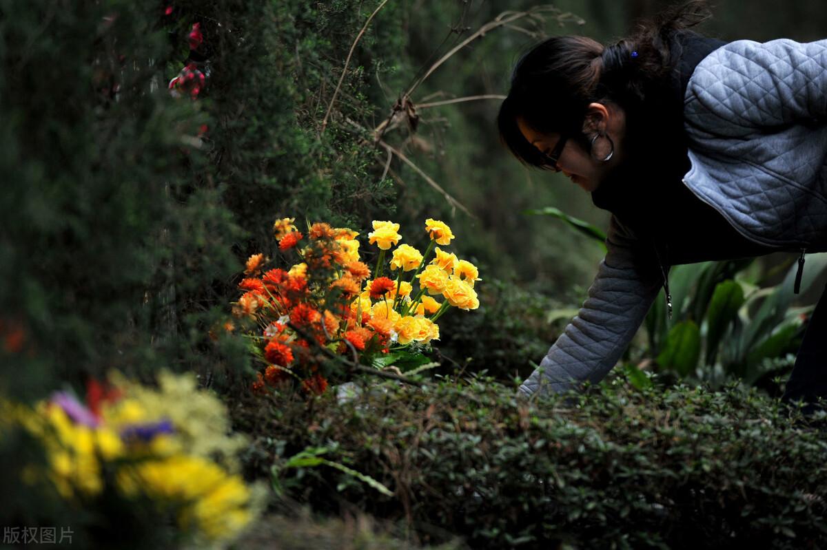 清明节缅怀先人经典寄语大全（清明节朋友圈说说）