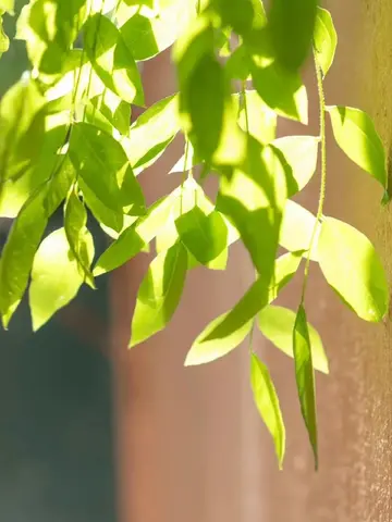 特别干净的走心文案（高质量的走心句子）