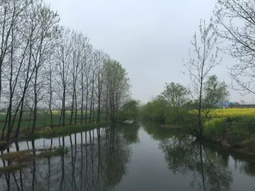 有关感恩路长的作文精选范例（《走进清明，学会感恩》）