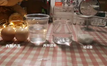 盐水浮鸡蛋作文600字左右（生命的最美一幕）