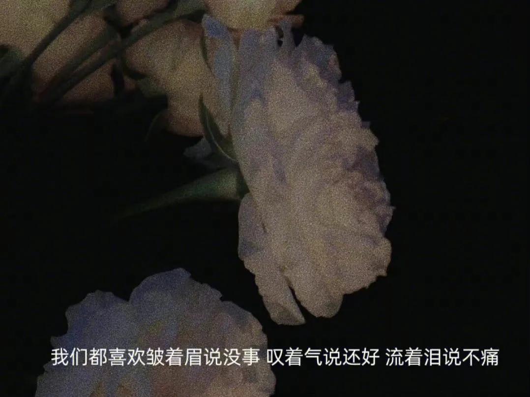 惊艳世人的高级情绪文案（扎心伤感抑郁语录）