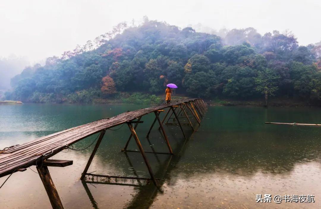 有关微雨古诗词鉴赏（20首微雨诗词）