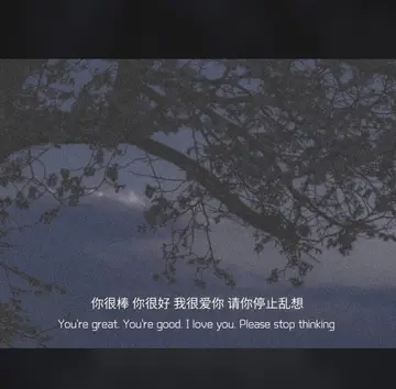 高质量的温柔文案（让人惊艳的温柔短句）